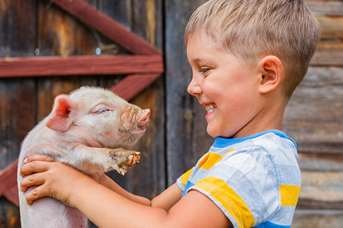 Friends Eating in Brookshire TX